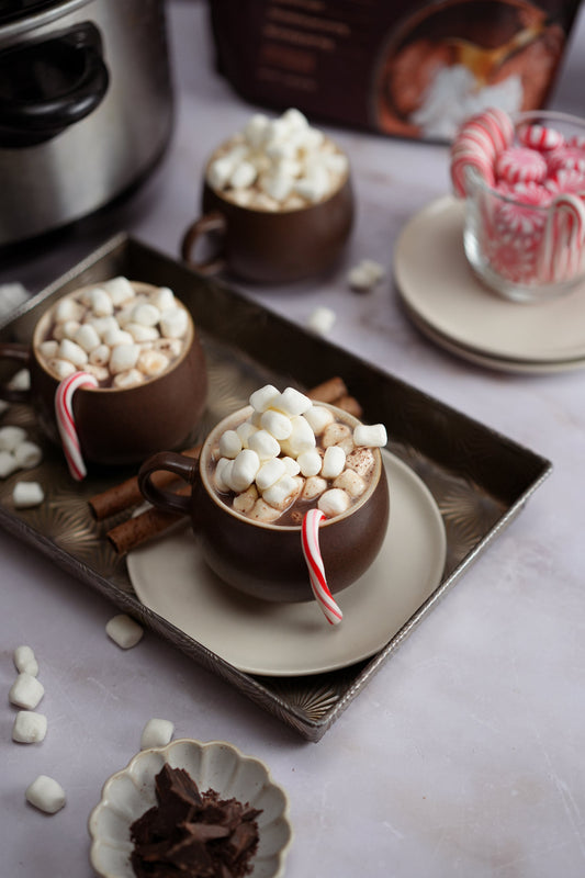 High Protein Slow Cooker Hot Cocoa